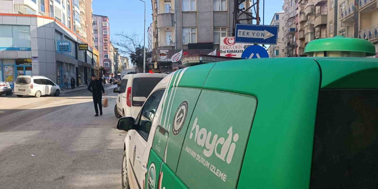 Evde unutulan kediyi HAYDİ unutmadı