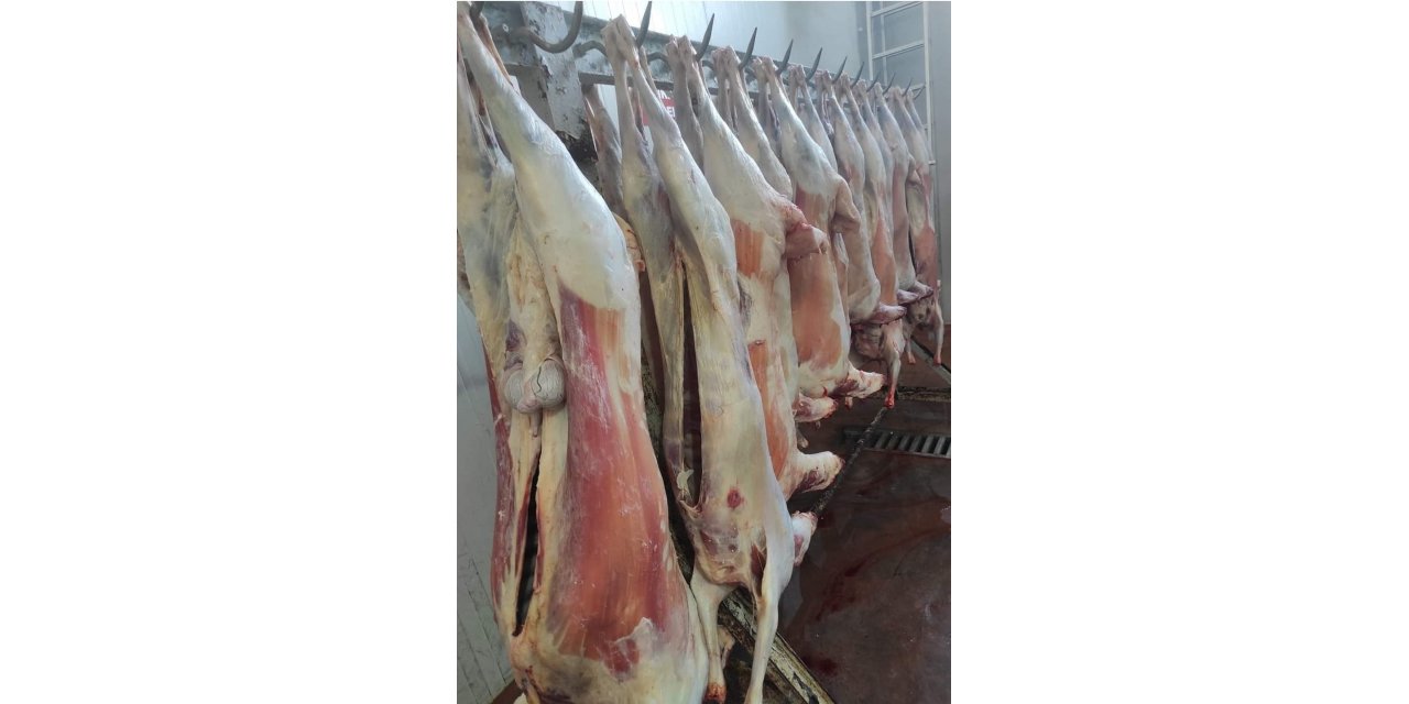 89 küçükbaş hayvan kesilerek afet bölgesine gönderildi