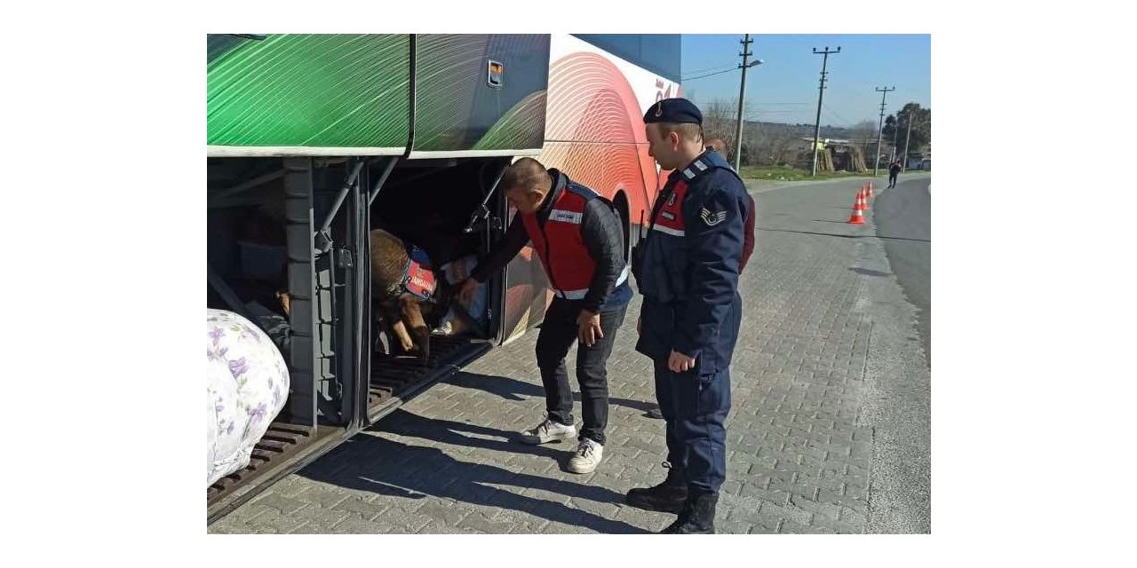 Yolcu otobüsünde uyuşturucu ile yakalandılar