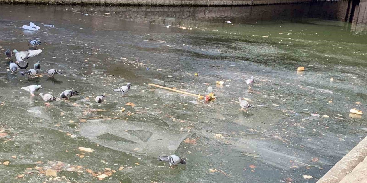 Yer yer donan porsuk çayı çöplüğe döndü