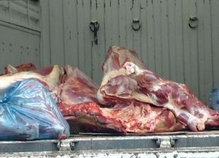 Konya'da 600 kg kaçak et ele geçirildi