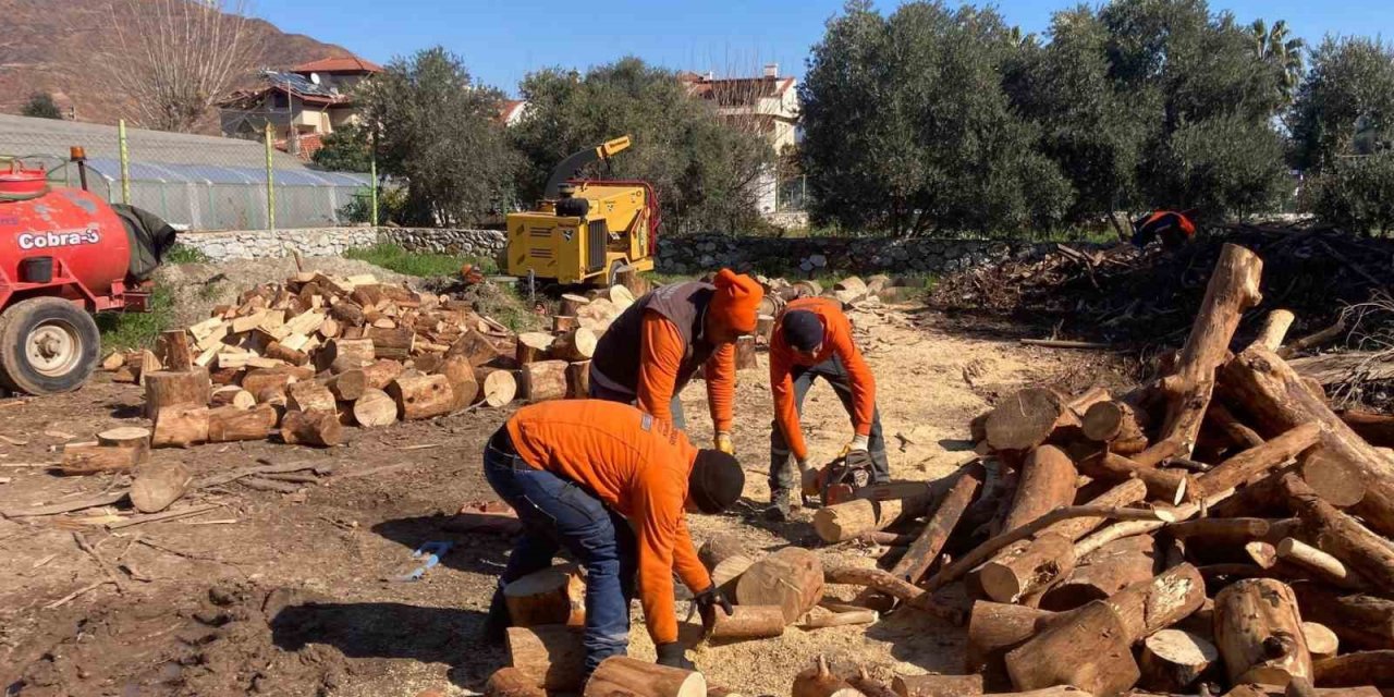 Marmaris’ten depremzedelere yakacak yardımı