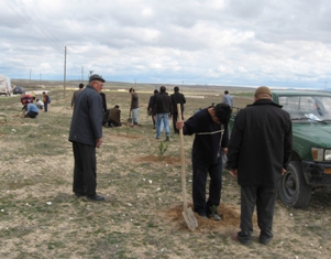 Emirgazi belediyesi fidan dikimine başladı
