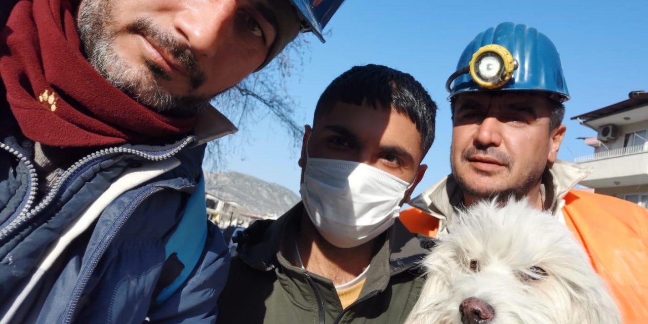 Zonguldaklı madenciler 203’üncü saatte Ponti’yi kurtardı