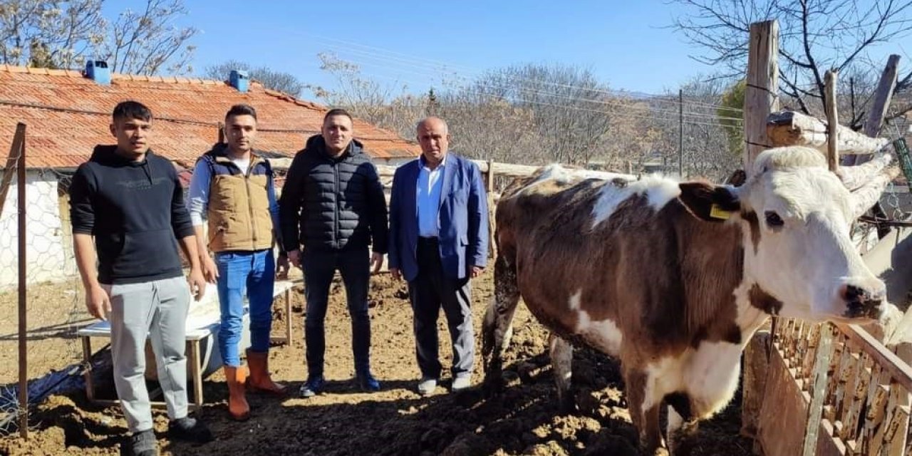 Köy muhtarı depremzedeler için büyükbaş hayvan bağışladı