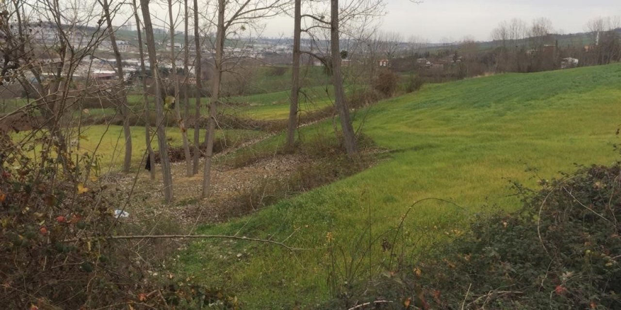 Arpada külleme hastalığına karşı ilaçlama uyarısı