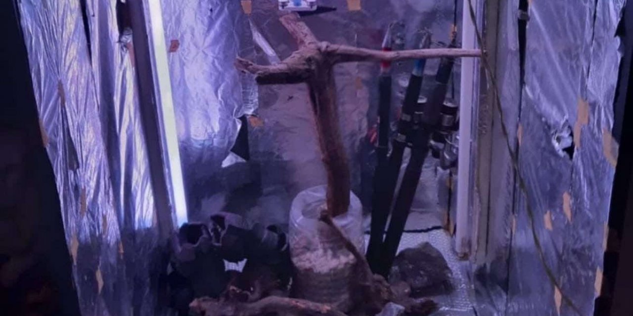 Tekirdağ’da uyuşturucu operasyonu