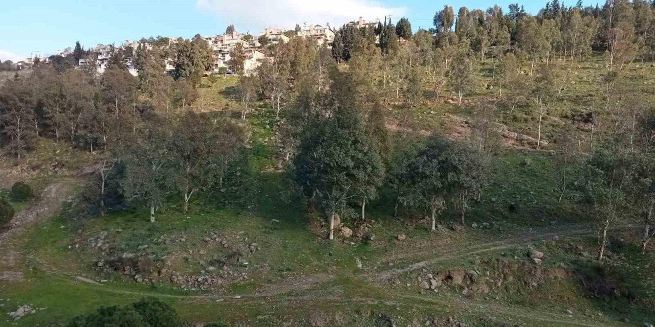 Koyunlar yalnız gelince şüphelendiler, cansız bedenini buldular