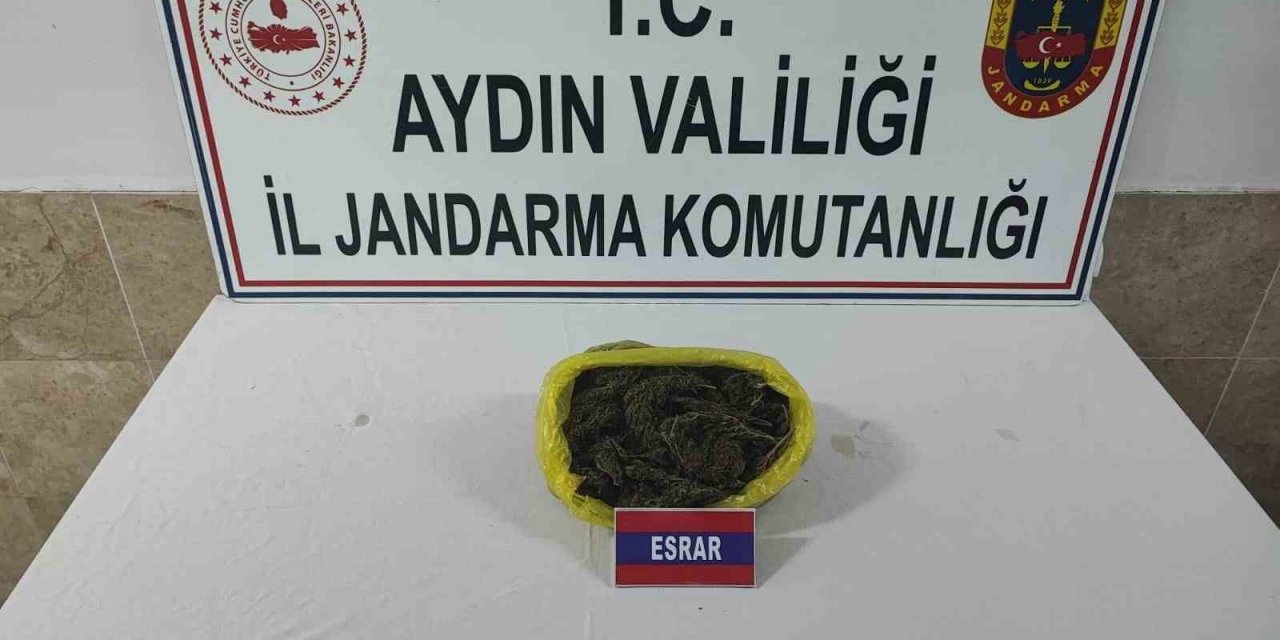 Jandarma ekipleri yarım kilo esrar yakaladı