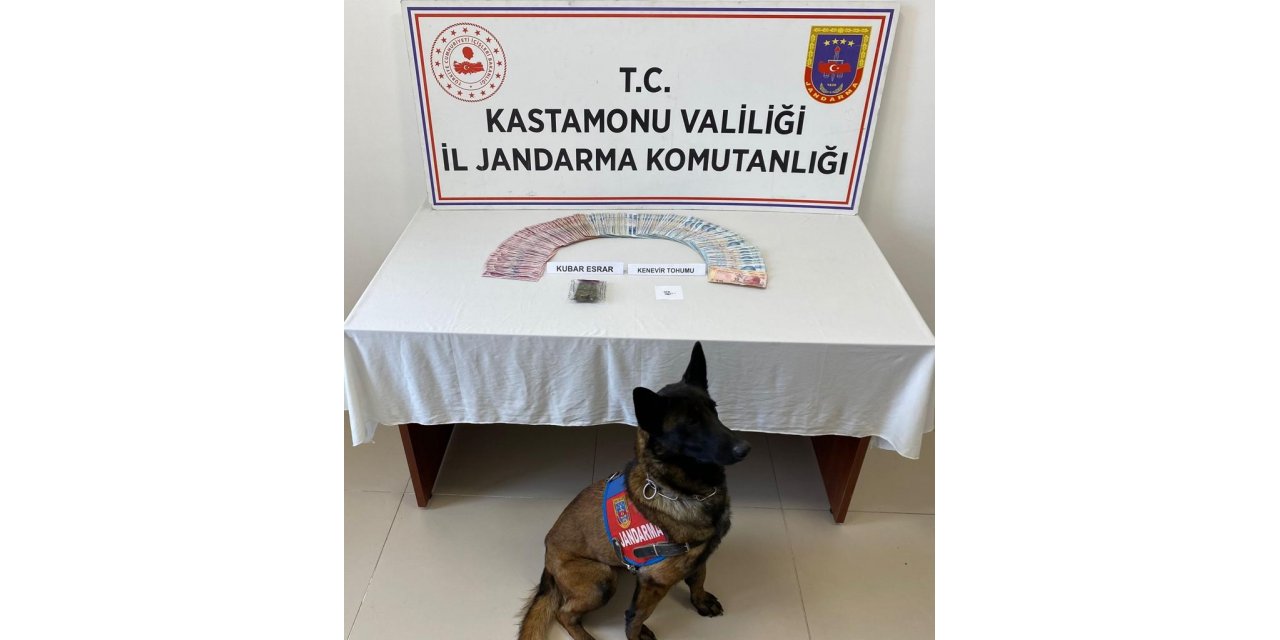 Evinde esrar maddesiyle yakalanan şahıs gözaltına alındı