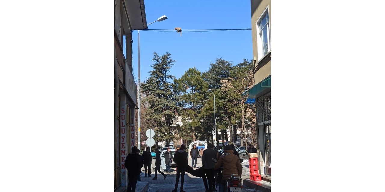 Elektrik tellerinde mahsur kalan kedinin imdadına vatandaşlar yetişti