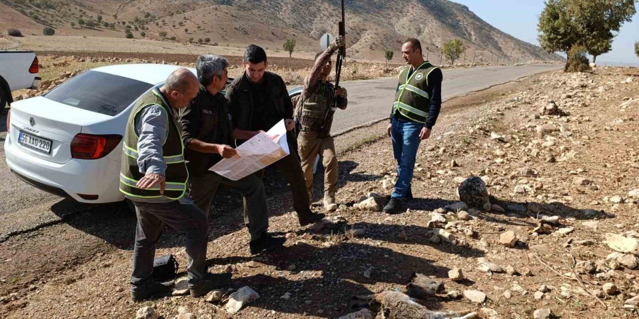 Siirt’te depremden etkilendiği değerlendirilen yaban hayvanlarının korunması için av yasağı başladı
