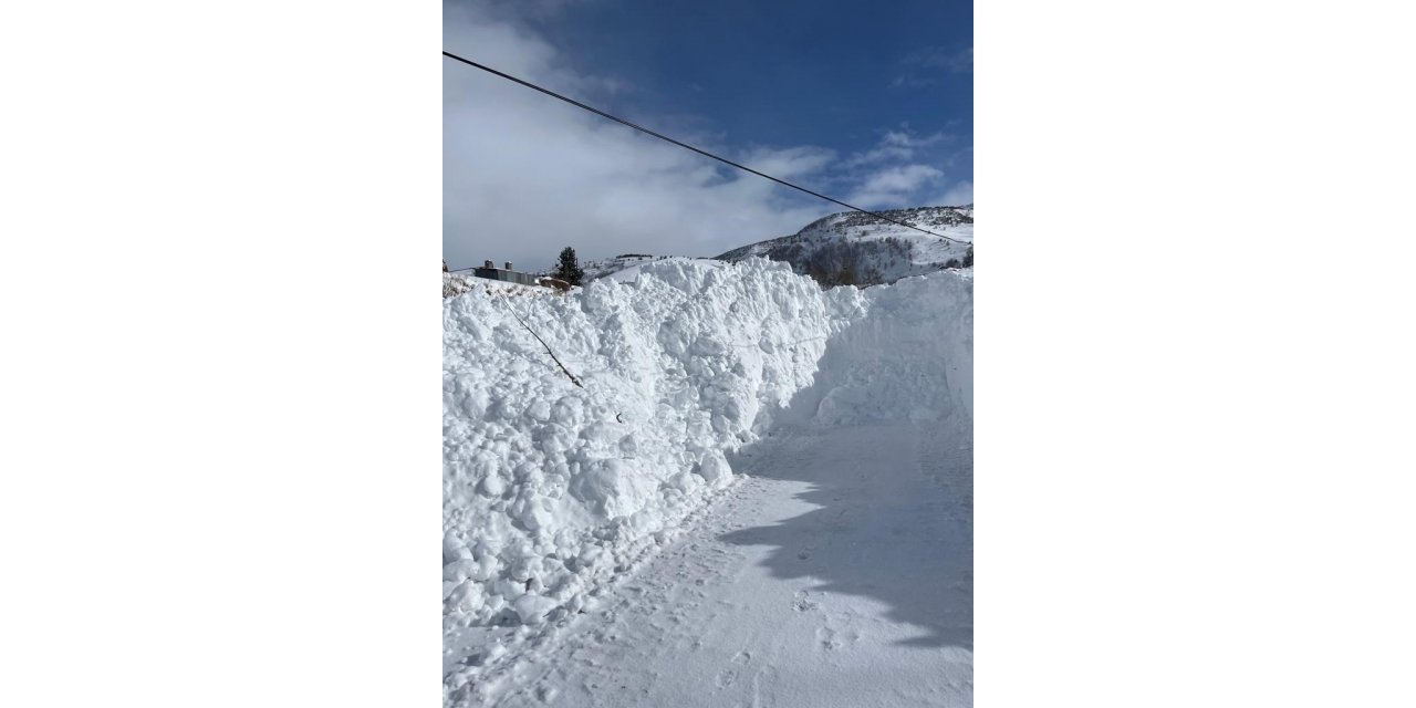 Posof’ta kar köy yollarını kapattı