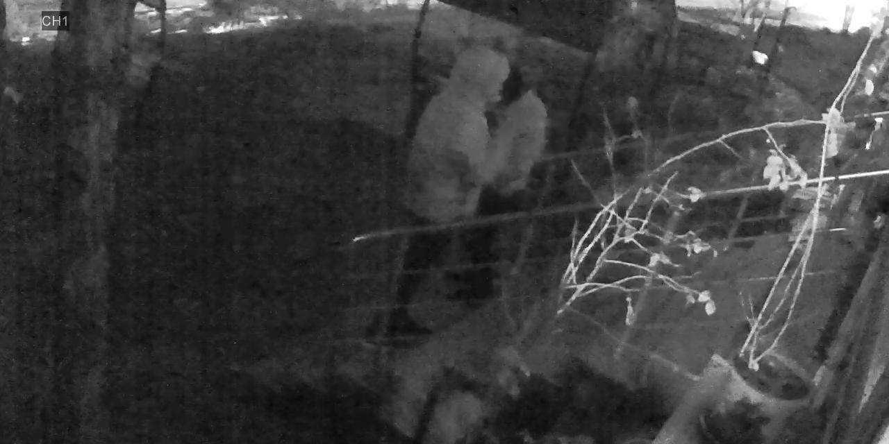 Büfenin önündeki masaların çadırlarını çaldılar