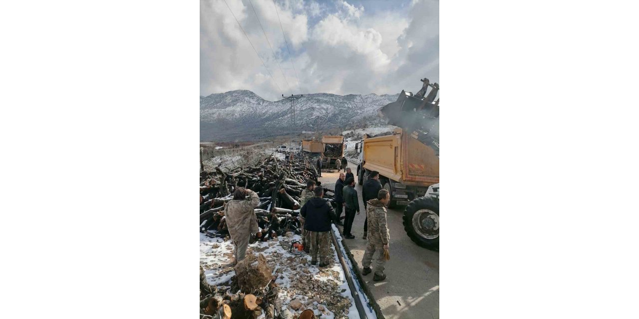 OGM’den deprem bölgesine yakacak odun yardımı