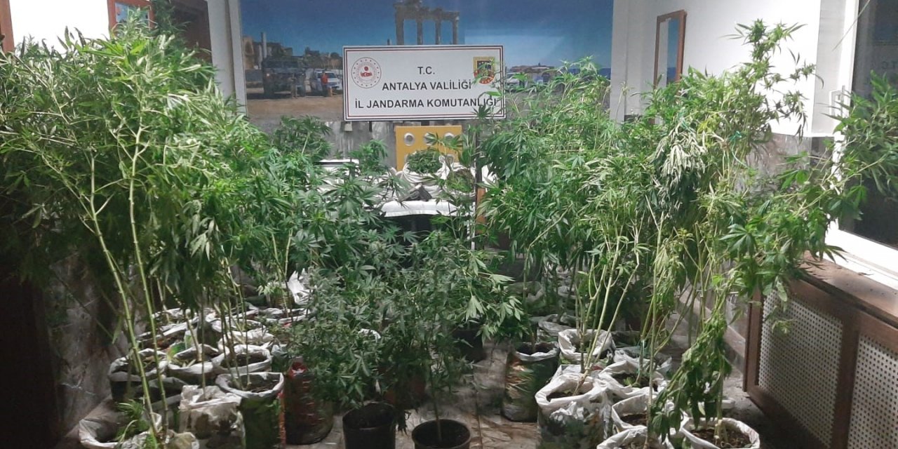 Antalya’da 27 kilogram esrar ele geçirildi