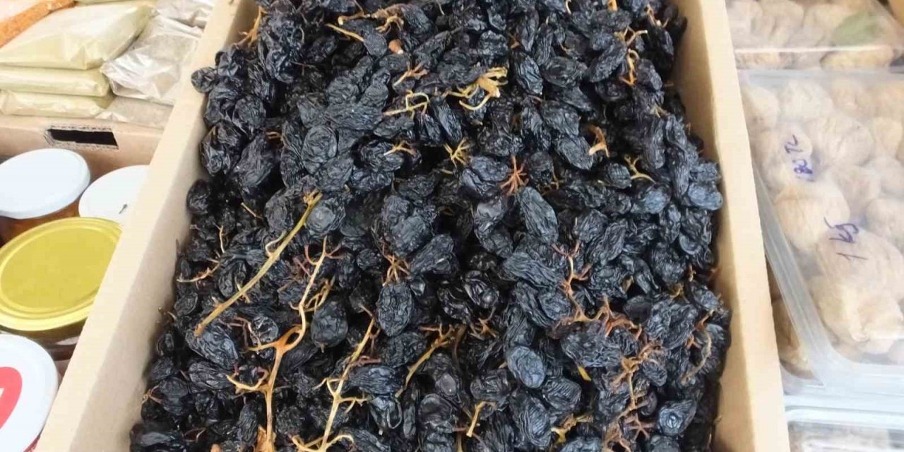 Burhaniye’de Çekirdekli Siyah Kan Üzümü ilgi gördü