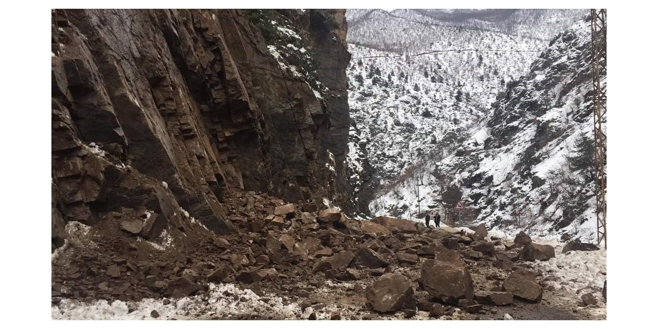 Artvin-Ardahan karayolunda bir heyelan daha