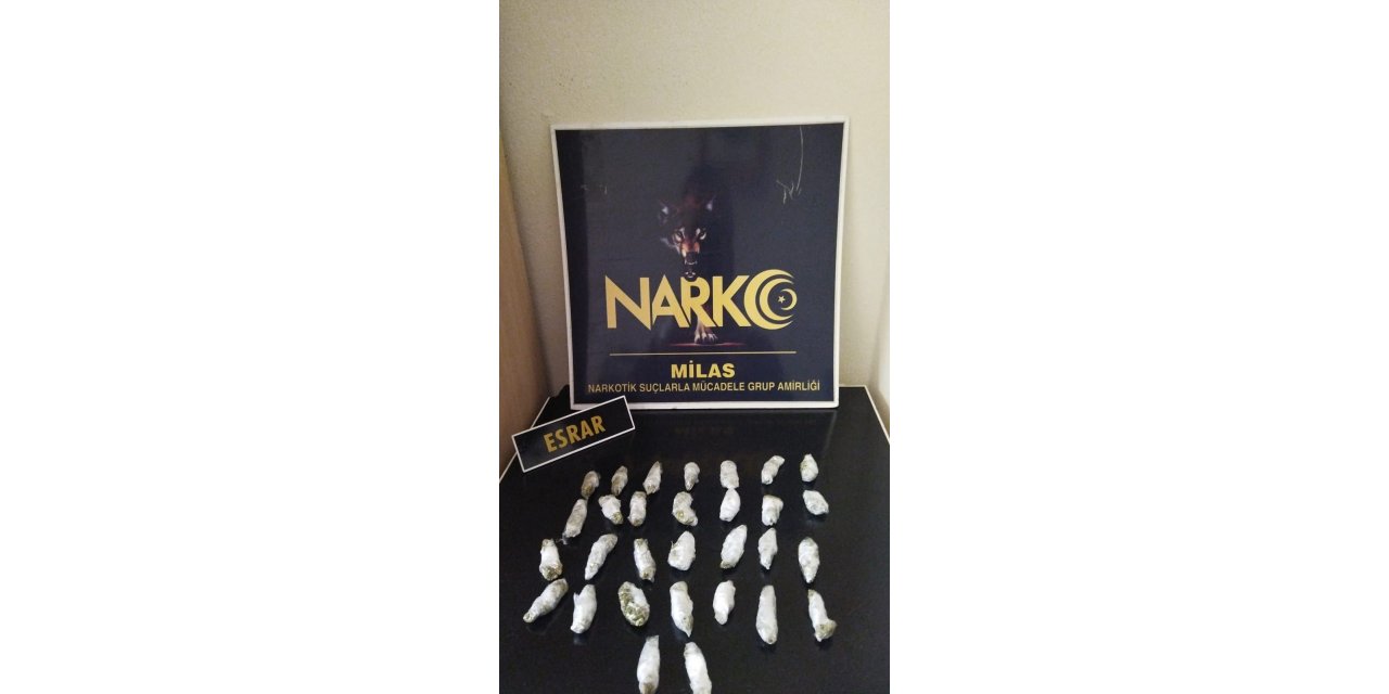 Bodrum ve Milas’ta 2 uyuşturucu taciri tutuklandı