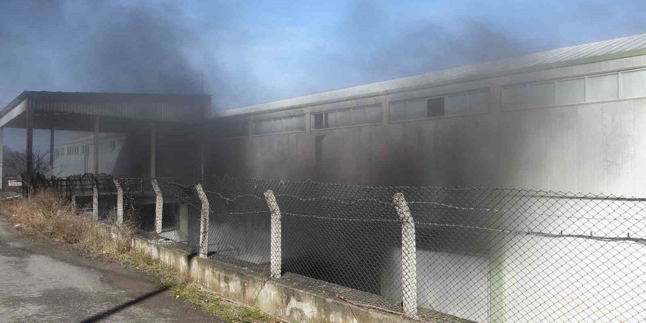 Trabzon’un Arsin ilçesinde bir depoda çıkan yangın ve yoğun duman paniğe neden oldu
