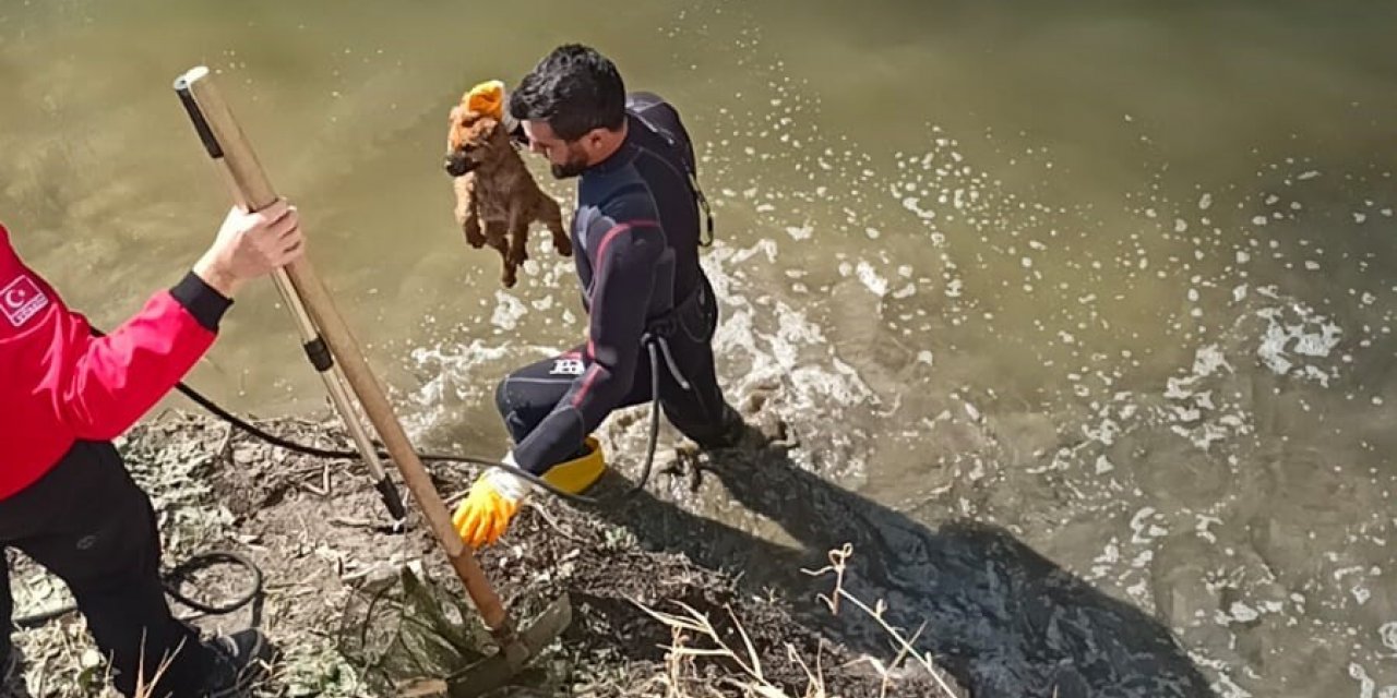 Kanala düşen yavru köpek arama kurtarma ekiplerince kurtarıldı