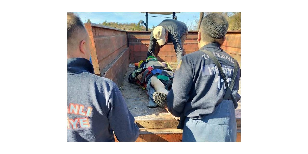 Tavşanlı’da kestiği ağacın altında kalan köylü ağır yaralandı