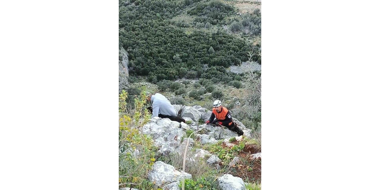 Kayalıkta mahsur kalan keçileri MAG AME ekibi kurtardı