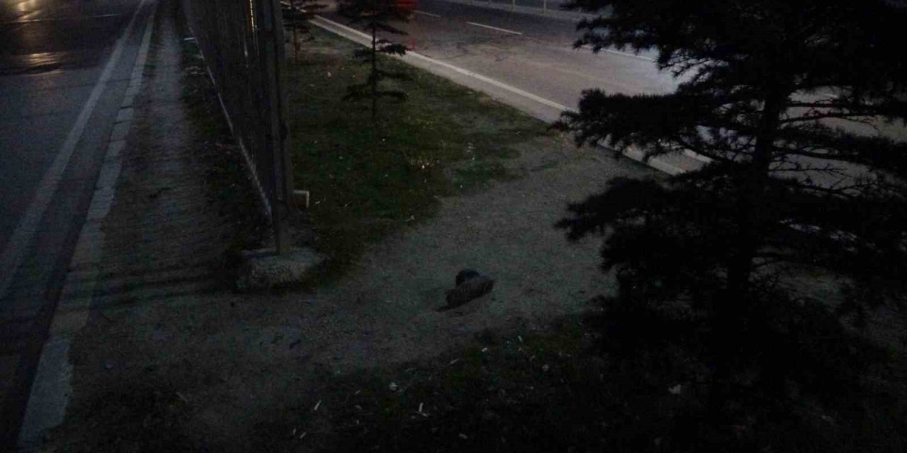 Otomobilin çarptığı yaya ağır yaralandı