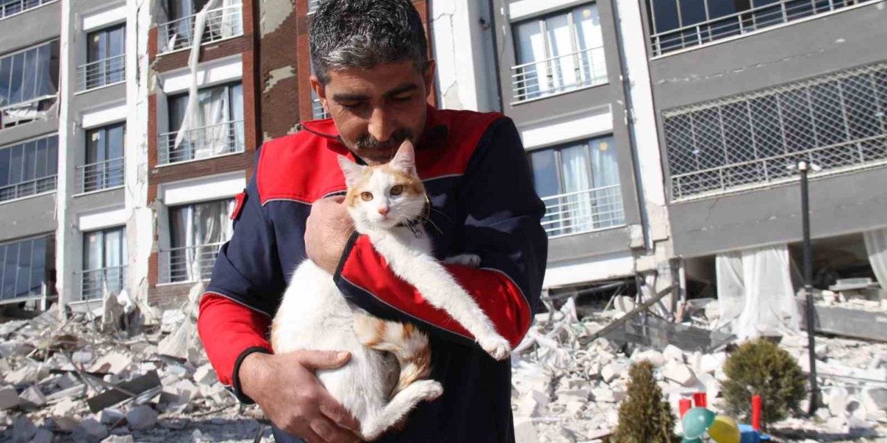 Malatya’da ağır hasarlı binada mahsur kalan kedi kurtarıldı