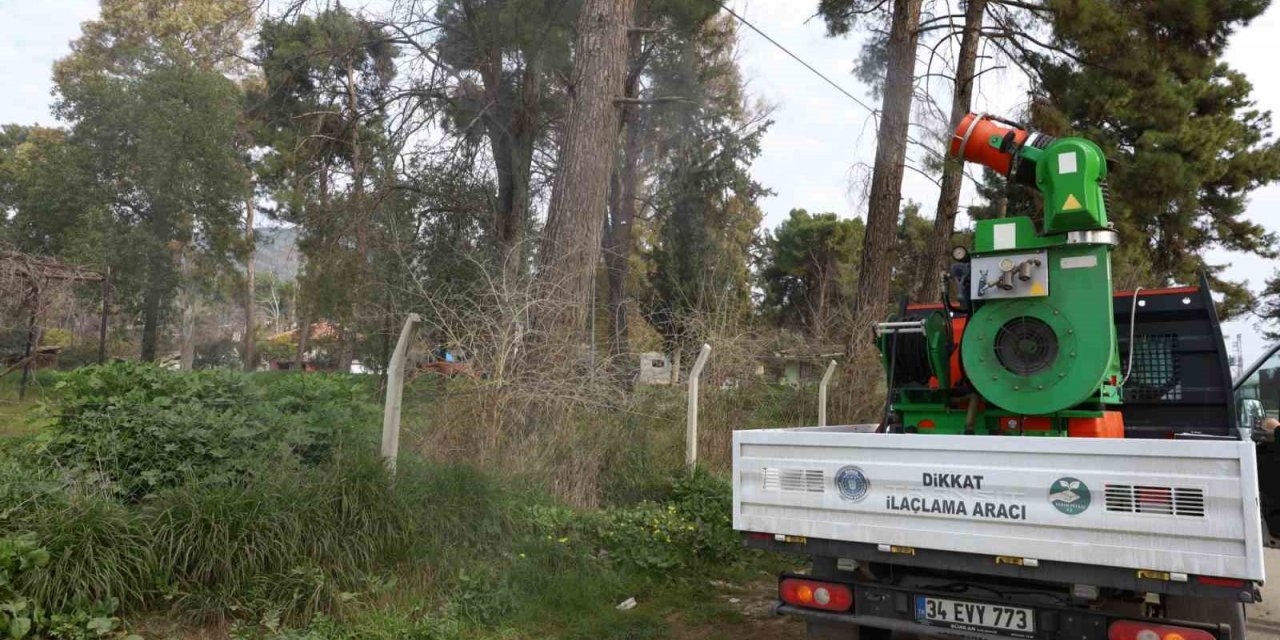 Bursa ekibi Hatay’da uçkunla mücadeleye başladı