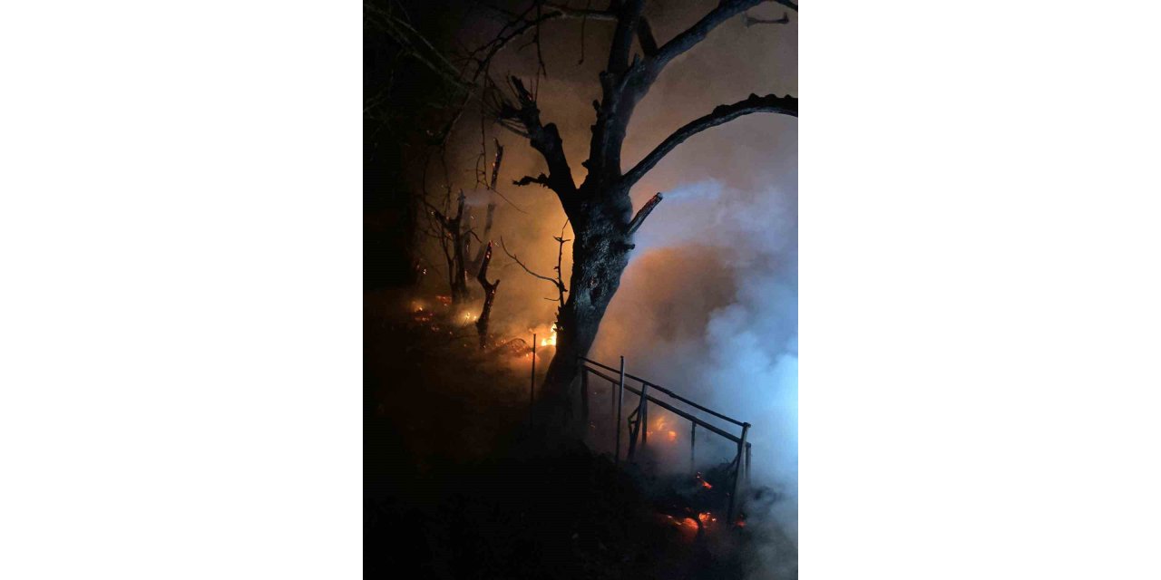 Hamitabat Köyü’nde çıkan yangın korkuttu