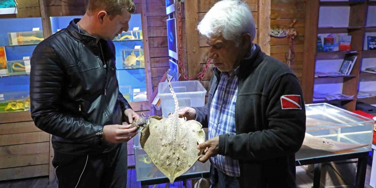 Deniz Biyoloji Müzesi’ndeki balıklar yenilenecek