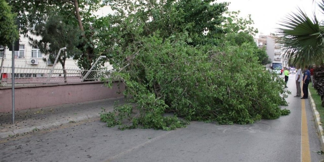 Meteoroloji’den Aydın’a kuvvetli rüzgar ve fırtına uyarısı