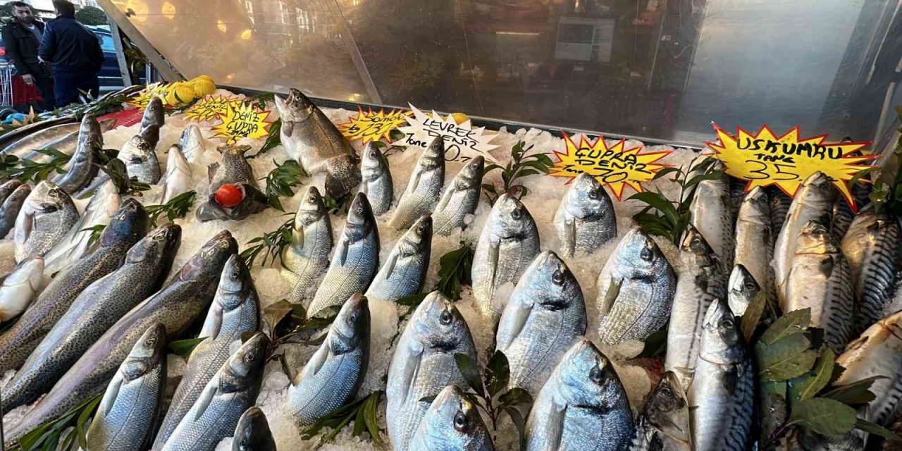 Havalar ısındı, balık fiyatları düştü