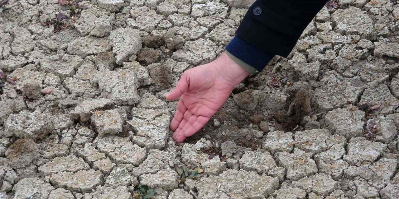 Erzincan kuraklık tehlikesi altında