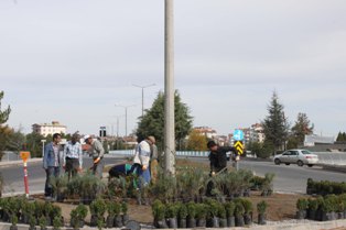 Beyşehir'de Köprübaşı'nın çehresi değişiyor