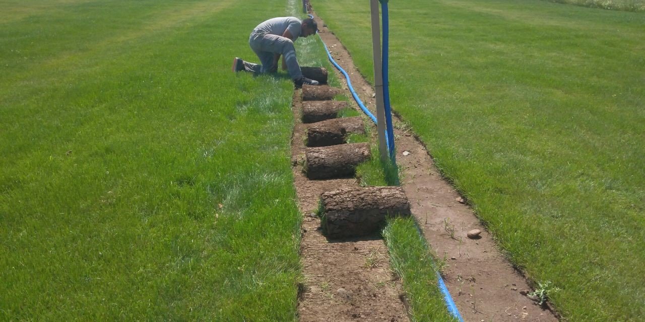 Başkan Demir: “Üretimini yapacağımız rulo çim ile 800 bin TL kar ediyoruz”