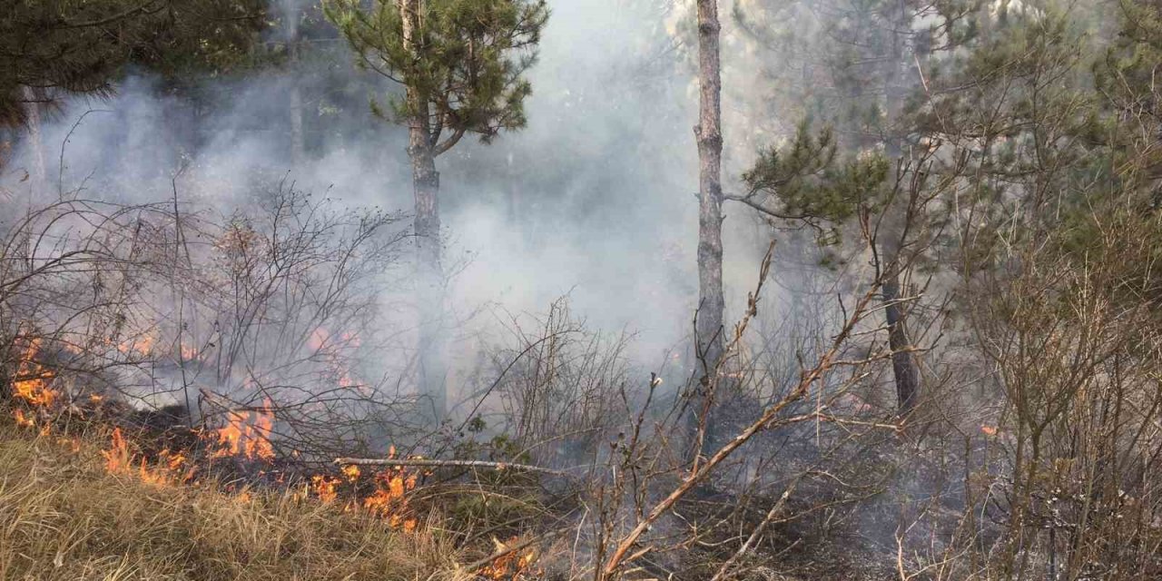 Topladığı çöpleri yakmak isterken ormanı yaktı