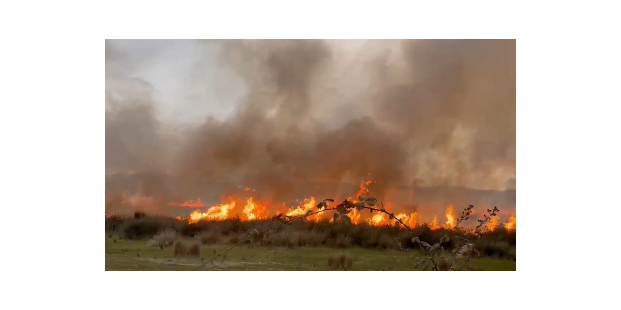 İznik Gölü’nde sazlık alanda korkutan yangın