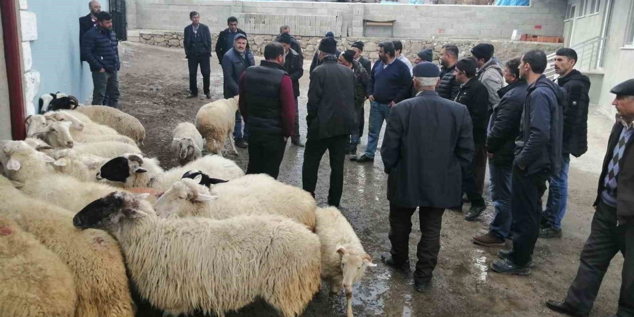 Köylüler 20 koyunu açık arttırmayla satıp, depremzedelere bağışladı