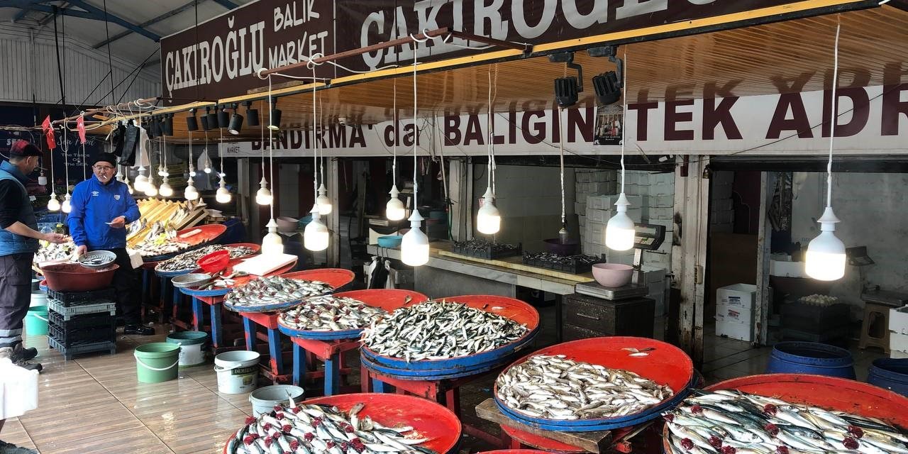 Marmara’da hamsinin zayıf kalması fiyatlara yansıdı