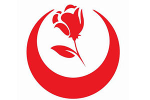 Milli Demokrat Merkez çalışması
