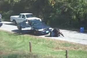 Maymun polise saldırdı!