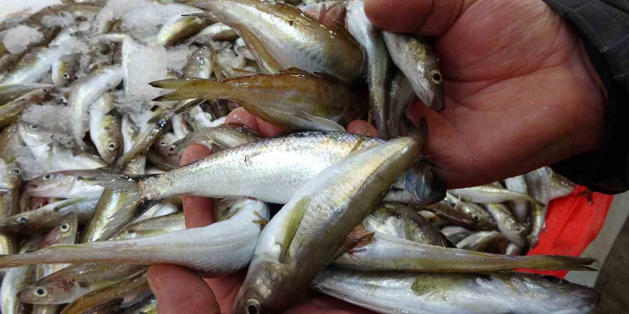 Kıyı balıkçıları, denizdeki olumsuz havadan etkileniyor