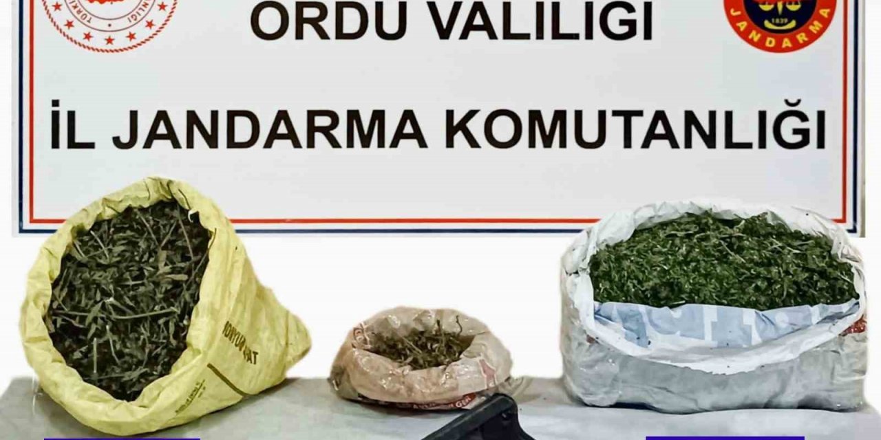 Ordu’da uyuşturucu ticareti yapan 1 kişi tutuklandı