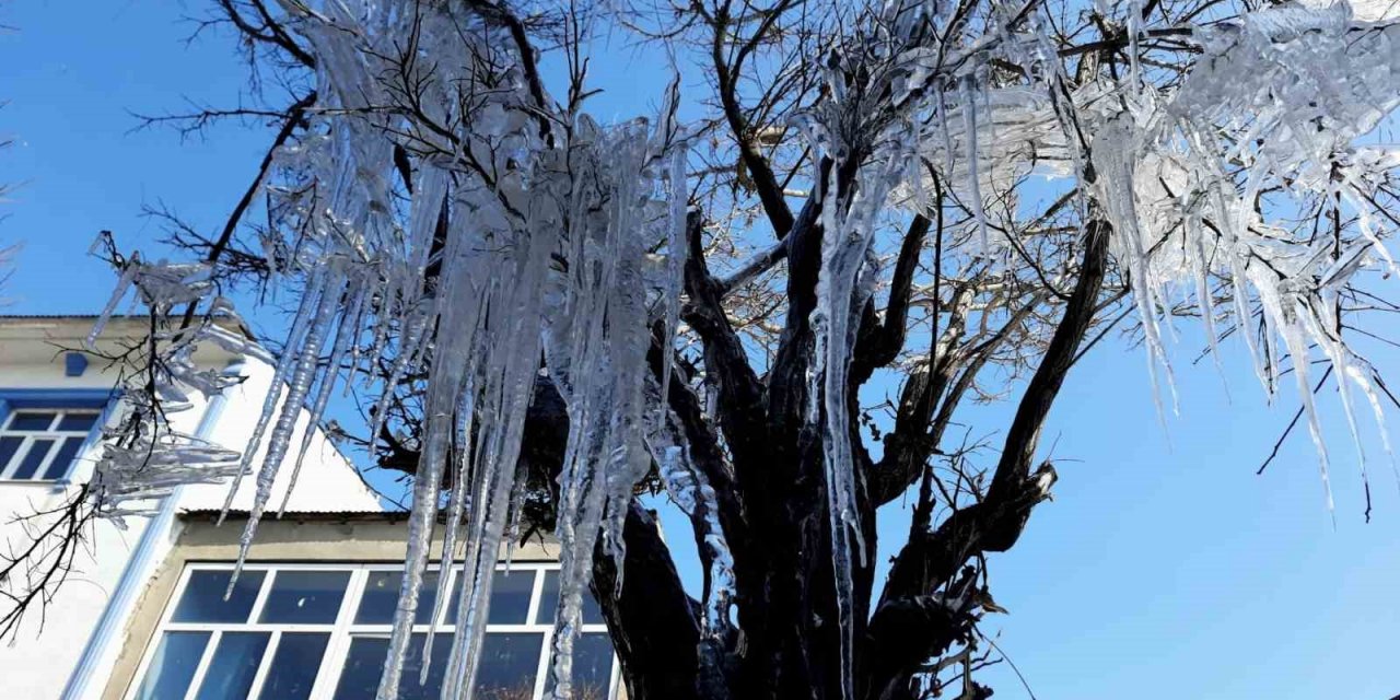 Özalp ilçesinde ağaçlar buz tuttu