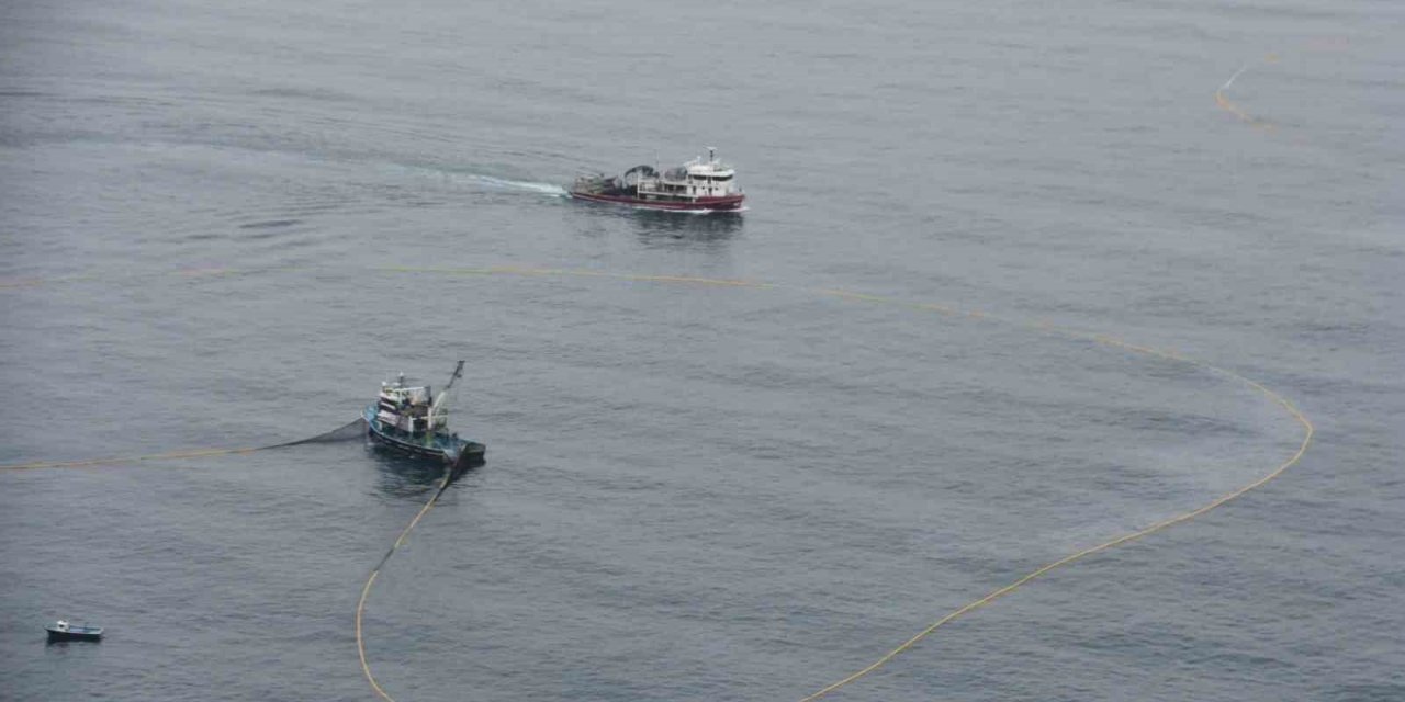 Karadenizli balıkçıların istavrit mesaisi