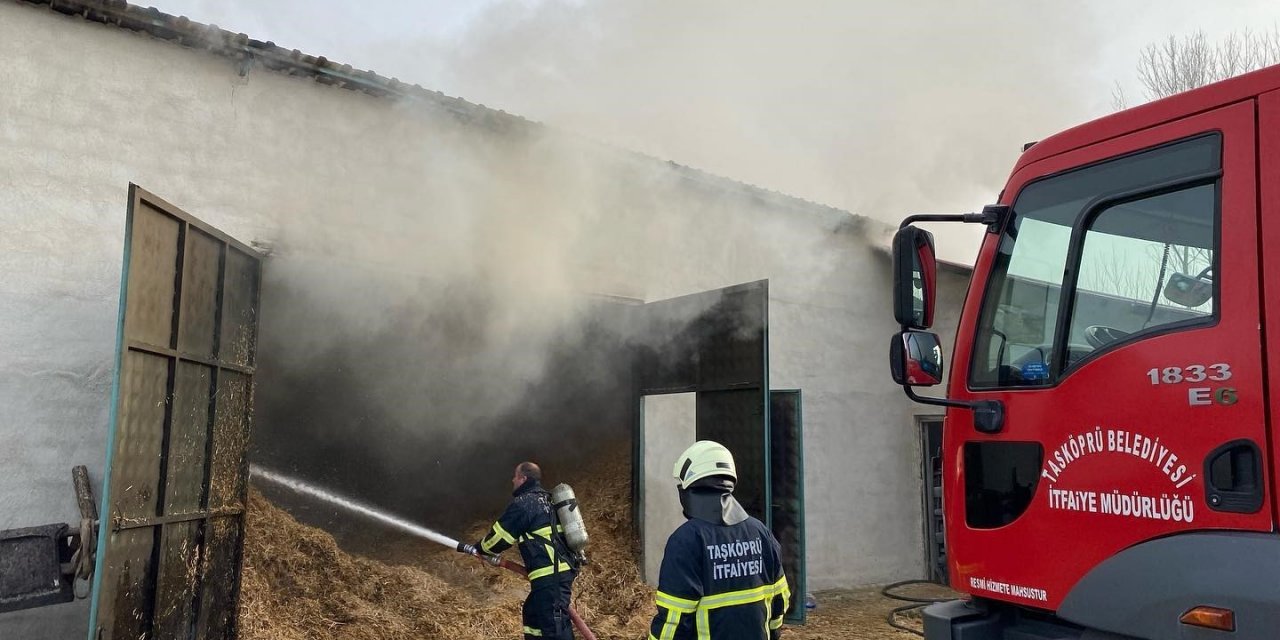 Kastamonu’da hayvan çiftliğinde çıkan yangın büyümeden söndürüldü