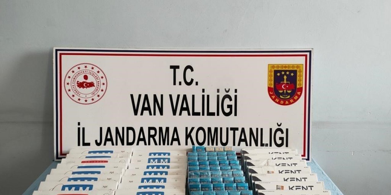 Van’da gümrük kaçakçılığı operasyonu
