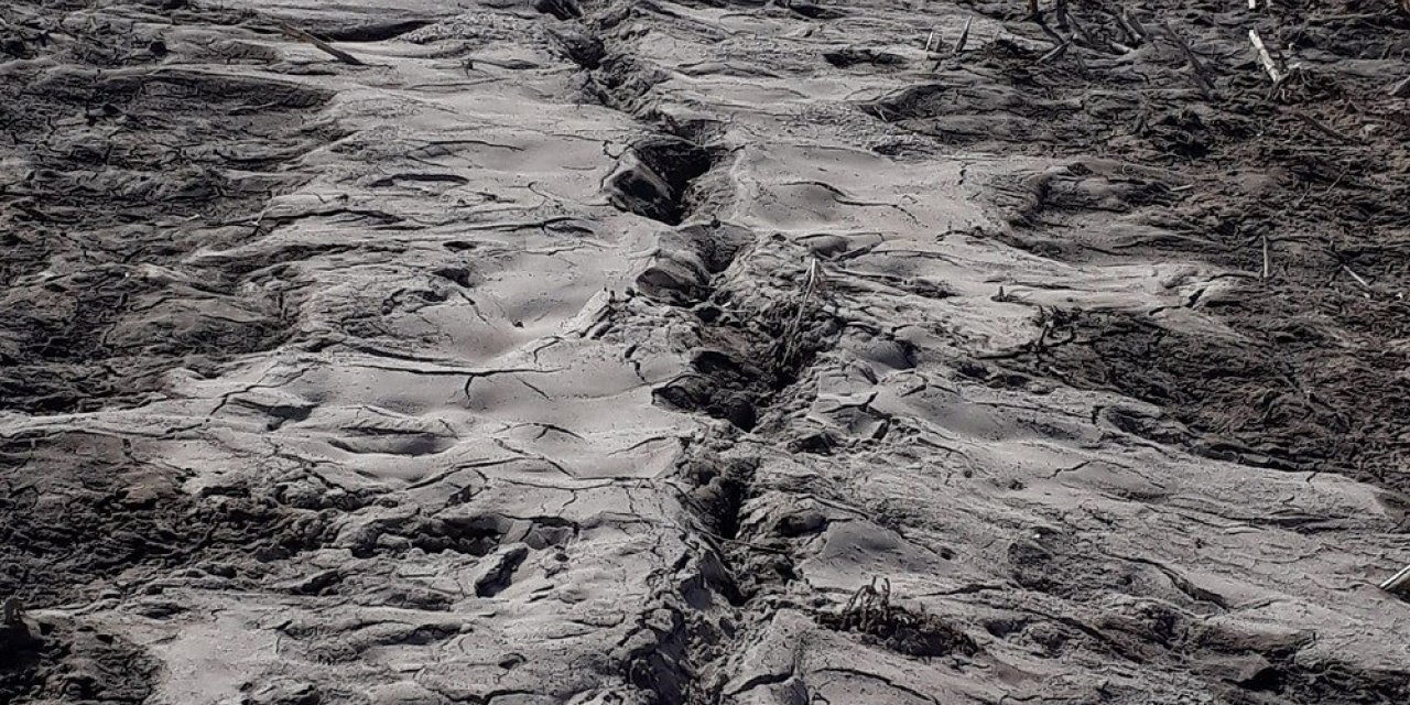 Depremle yarılan tarlalardan yüzeye su çıktı